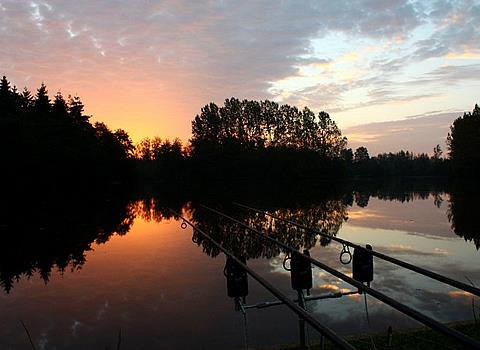 Adunate! - 2412414.jpg